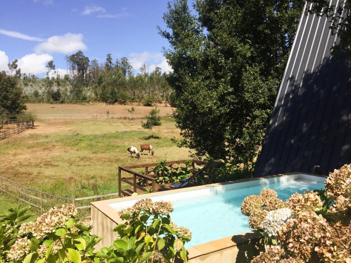Vale Da Silva Villas - Quinta Albergaria-a-Velha Dış mekan fotoğraf
