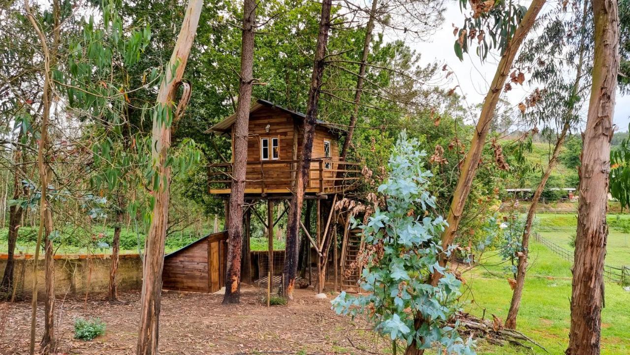 Vale Da Silva Villas - Quinta Albergaria-a-Velha Dış mekan fotoğraf