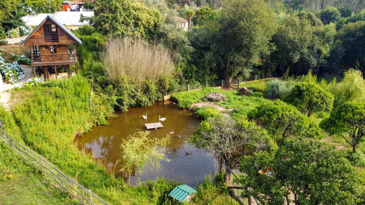 Vale Da Silva Villas - Quinta Albergaria-a-Velha Dış mekan fotoğraf