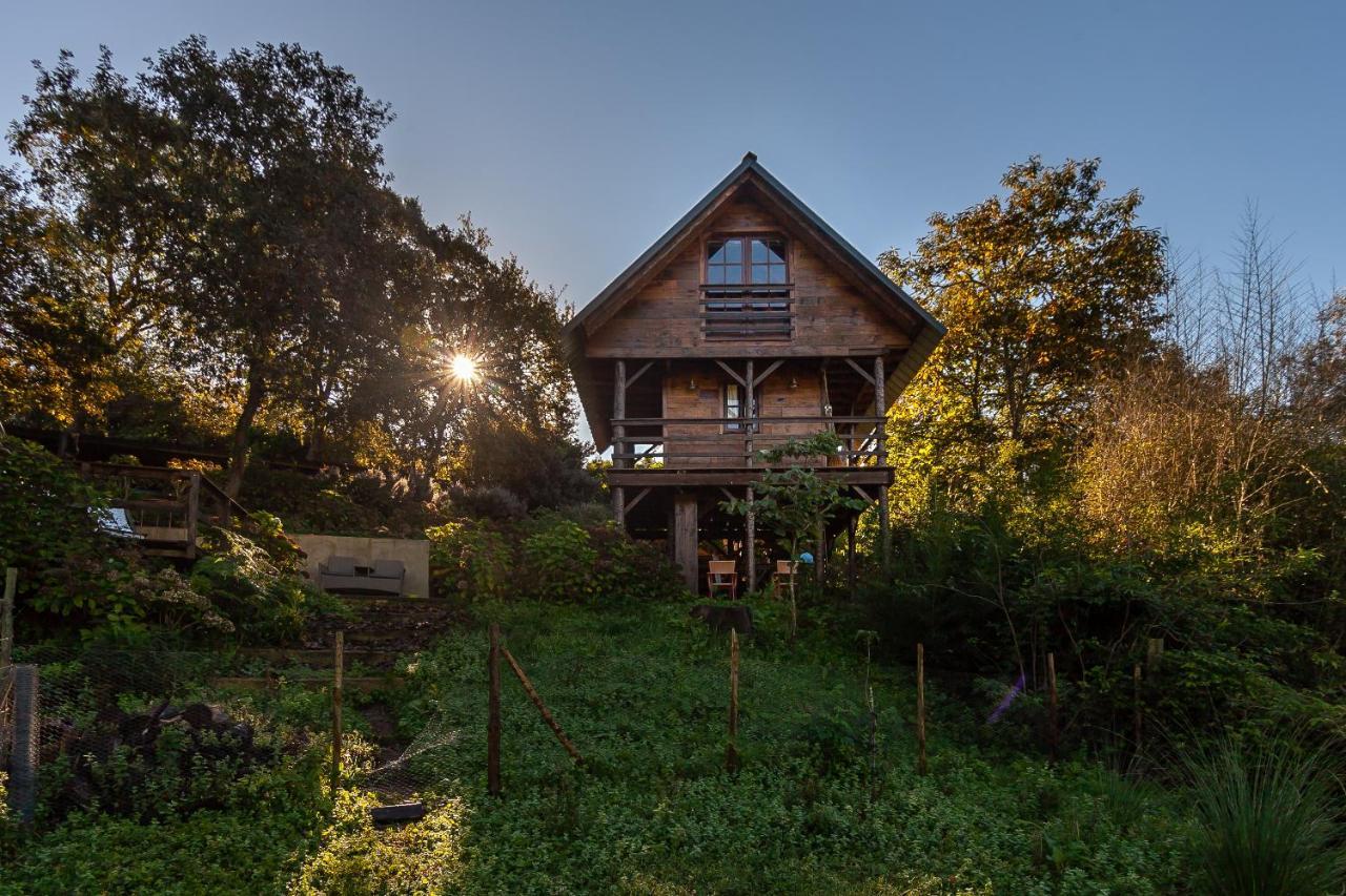 Vale Da Silva Villas - Quinta Albergaria-a-Velha Dış mekan fotoğraf