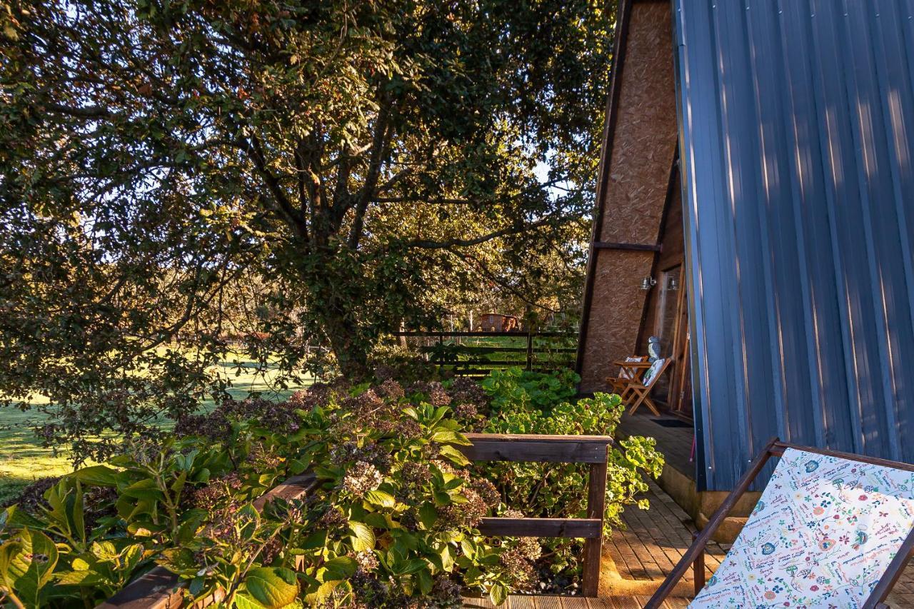 Vale Da Silva Villas - Quinta Albergaria-a-Velha Dış mekan fotoğraf