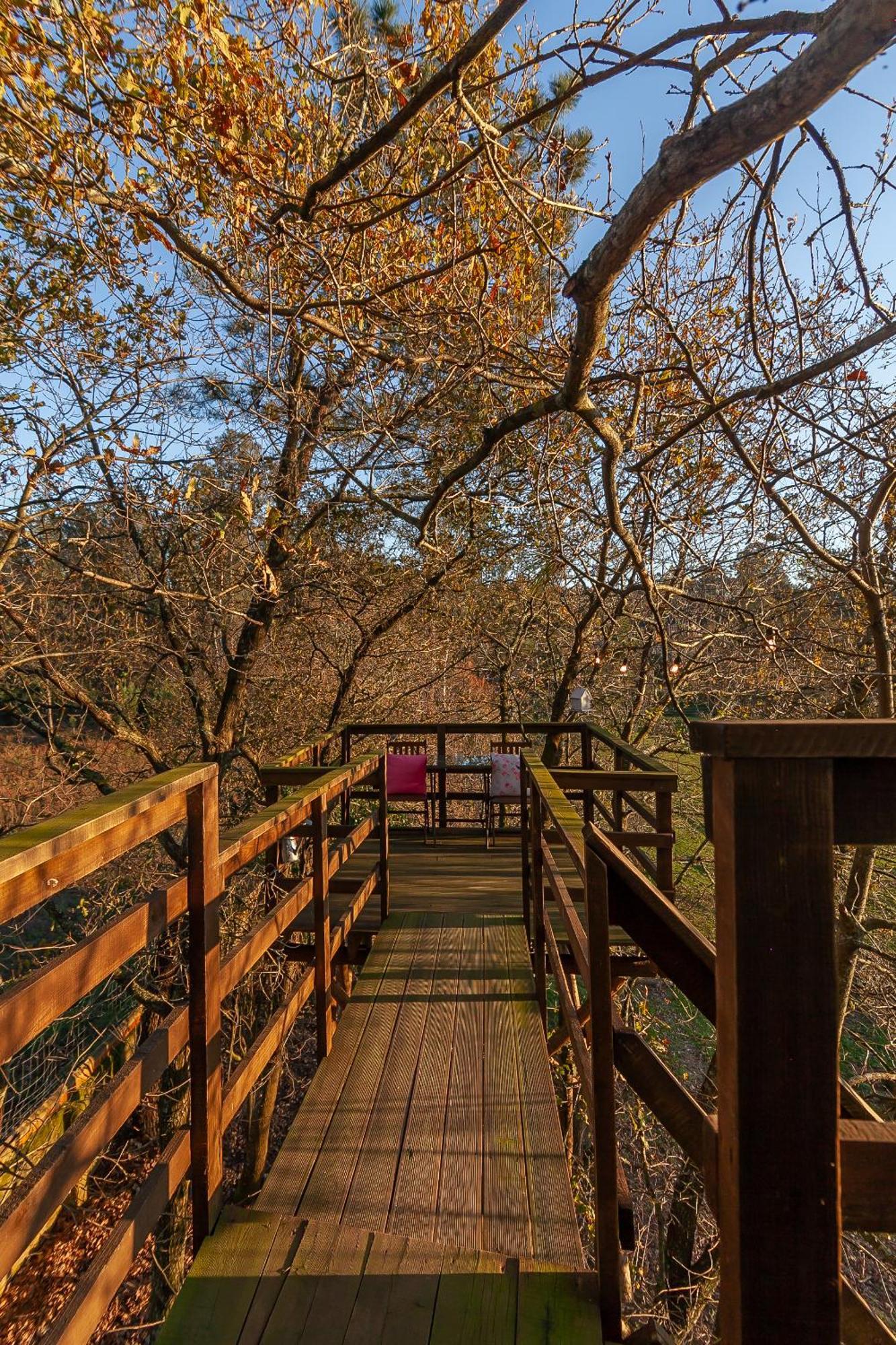 Vale Da Silva Villas - Quinta Albergaria-a-Velha Oda fotoğraf