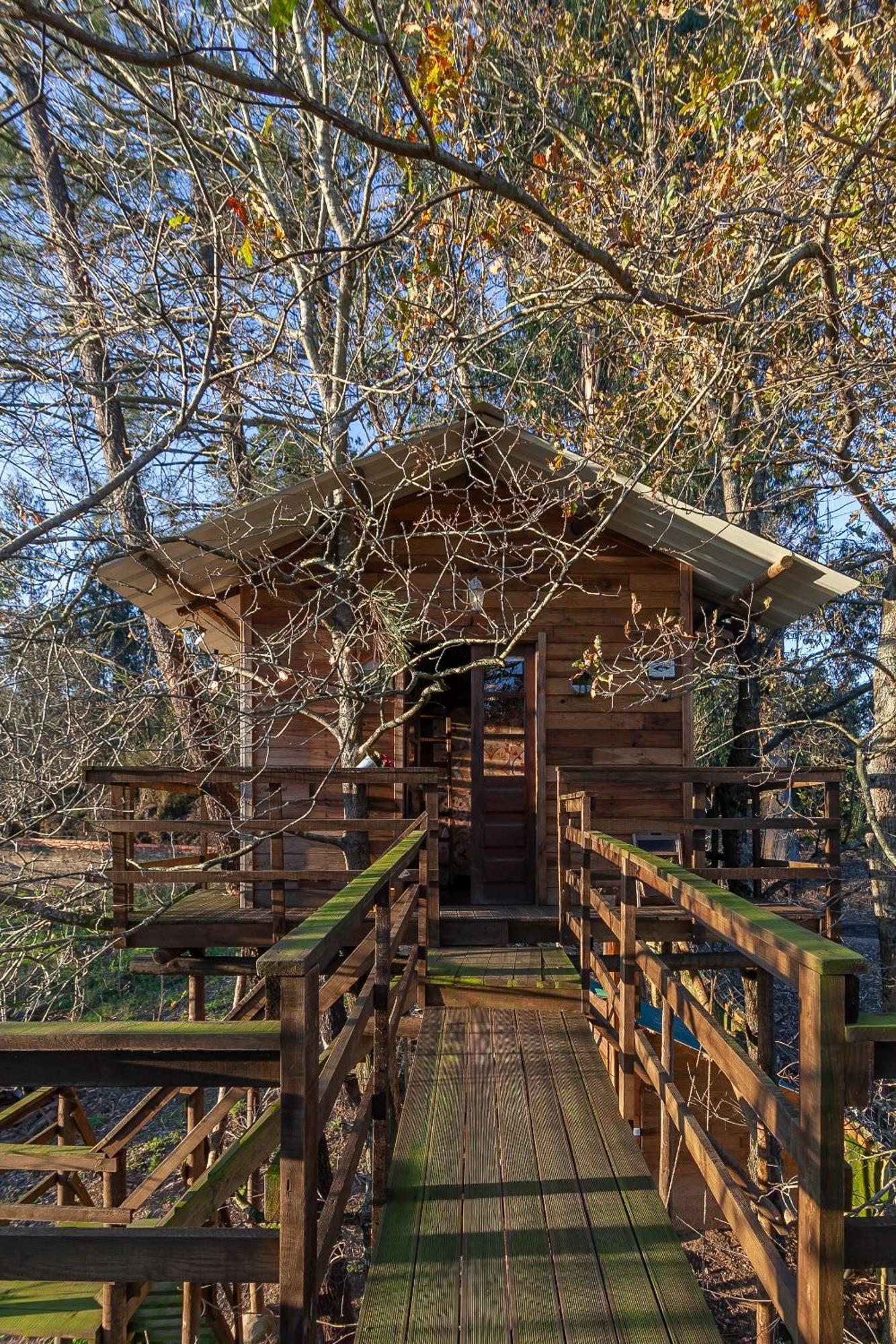 Vale Da Silva Villas - Quinta Albergaria-a-Velha Oda fotoğraf